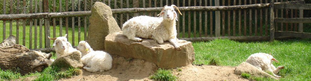Mouton Village