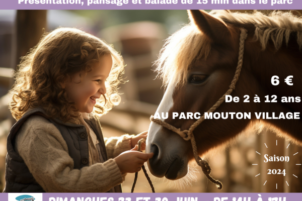 BAPTEME PONEY